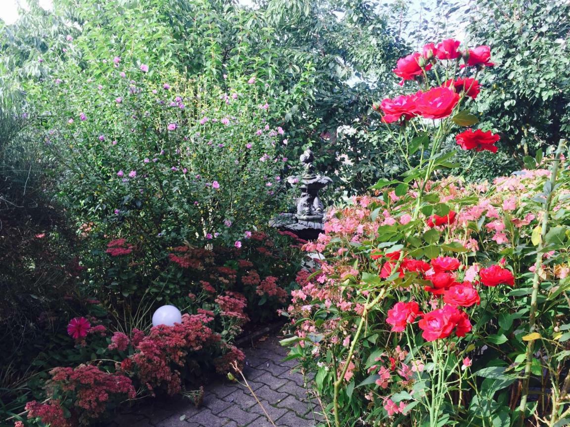 Homestay Entspannen,geniessen, Einfach Mal Zuruecklehnen Schotten